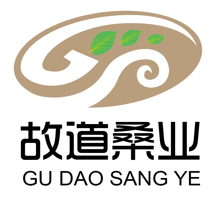 喝茶就可以防脫生發(fā)，太神奇了！桑葉養(yǎng)生茶