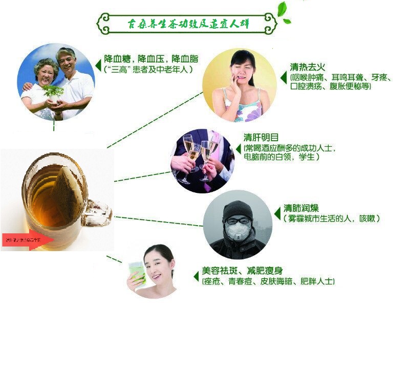 桑葉茶，營養(yǎng)長壽健康之茶